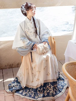 Осенне-зимний комплект одежды династии Сун Ханфу, милое женское элегантное плюшевое платье принцессы с цветочным принтом, халаты в традиционном китайском стиле